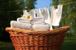 green laundry products